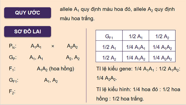 Mở rộng học thuyết Mendel