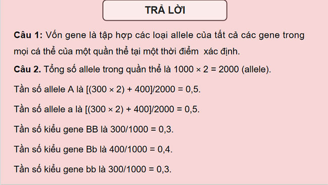Di truyền quần thể