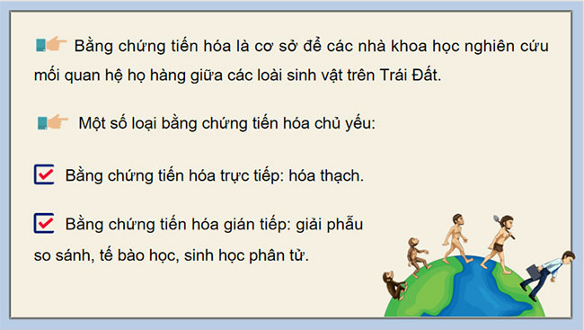 Các bằng chứng tiến hoá