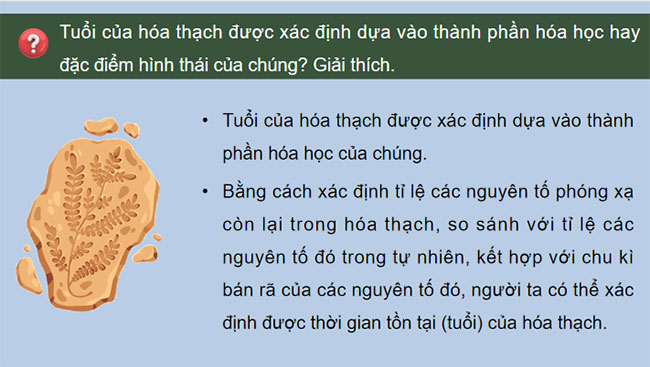 Các bằng chứng tiến hoá
