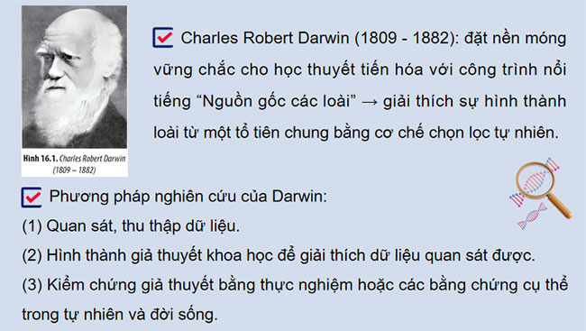 Giáo án Sinh học 12 Bài 20 KNTT