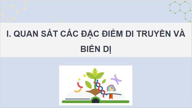 Giáo án Sinh học 12 Bài 20 KNTT