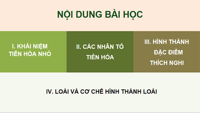 Học thuyết tiến hoá tổng hợp hiện đại