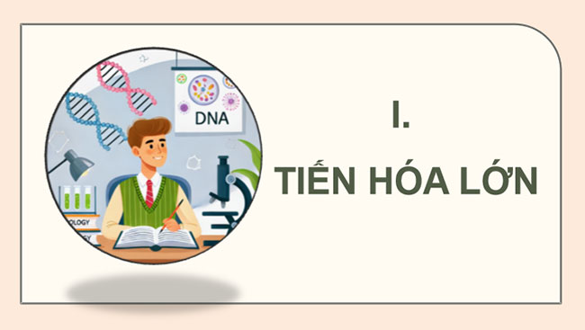 PowerPoint Sinh học 12 Bài 22 Kết nối tri thức