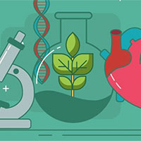 PowerPoint Sinh học 12 Bài 18: Di truyền quần thể