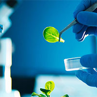 PowerPoint Sinh học 12 Bài 22: Tiến hoá lớn và quá trình phát sinh chủng loại