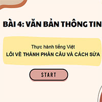 PowerPoint Ngữ Văn 11 Bài 4: Thực hành tiếng Việt