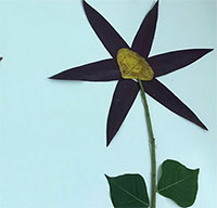 Giáo án mầm non: Tạo hình con vật từ lá cây