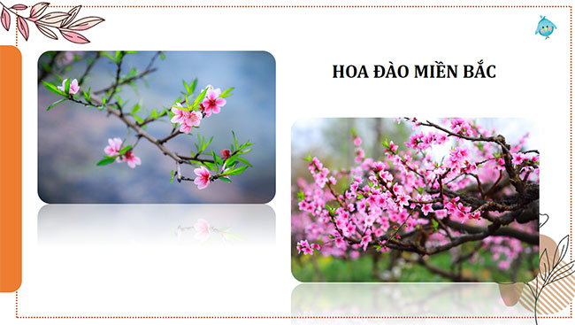 PowerPoint Mĩ thuật 6 Bài 4: Hội xuân quê hương