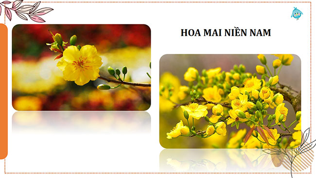 PowerPoint Mĩ thuật 6 Bài 4: Hội xuân quê hương