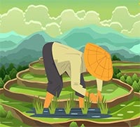 Giáo án mầm non: Bài hát Đi cấy