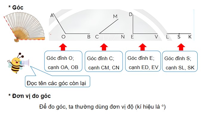 PowerPoint Bài 30: Đo góc – Góc nhọn, góc tù, góc bẹt