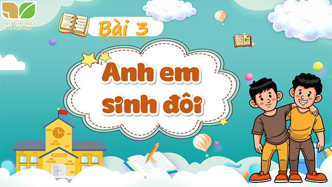 PowerPoint Đọc: Anh em sinh đôi