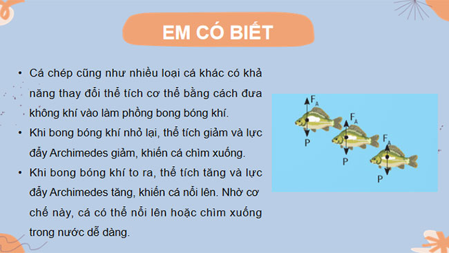  Lực đẩy Archimedes