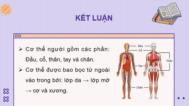  Khái quát về cơ thể người