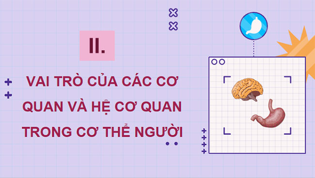  Khái quát về cơ thể người