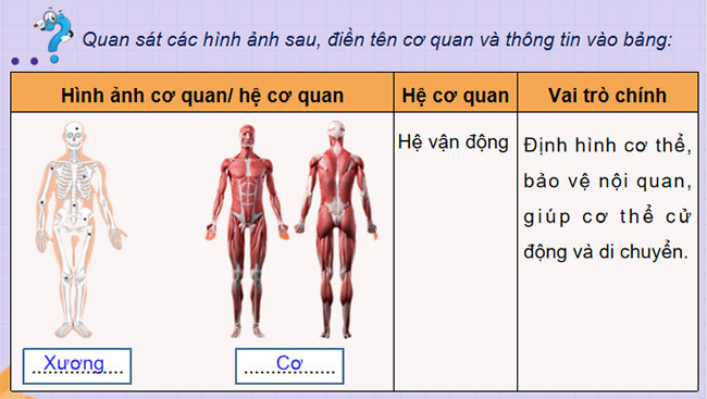  Khái quát về cơ thể người
