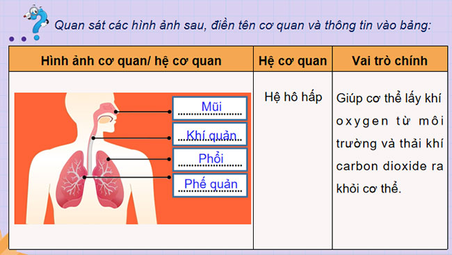  Khái quát về cơ thể người