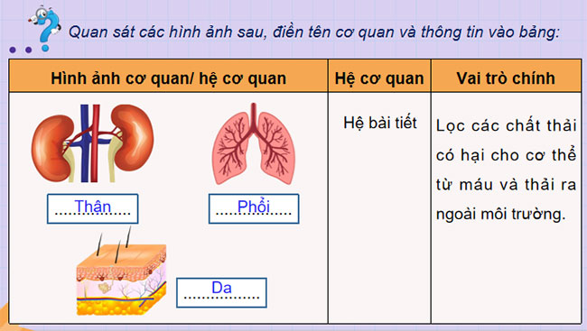  Khái quát về cơ thể người