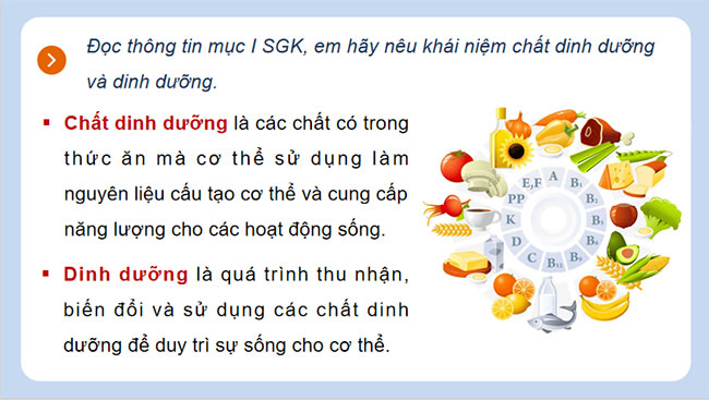 Dinh dưỡng và tiêu hóa ở người