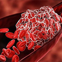 PowerPoint Khoa học tự nhiên 8 Bài 33: Máu và hệ tuần hoàn của cơ thể người