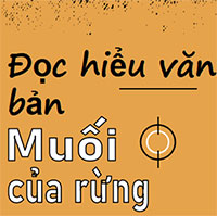 PowerPoint Ngữ văn 12 Bài 1: Muối của rừng