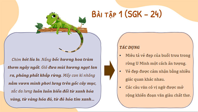  Thực hành Tiếng Việt trang 24