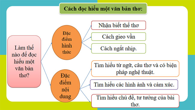 Gặp lá cơm nếp