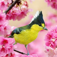 PowerPoint Ngữ văn 7 Bài 4: Mùa xuân nho nhỏ