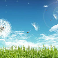 PowerPoint Ngữ văn 7 Bài 2: Trở gió