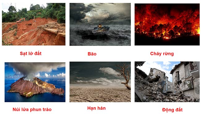 PowerPoint Hoạt động trải nghiệm 6: Ứng phó với thiên tai