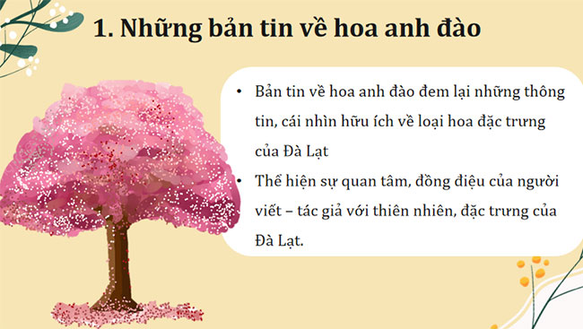 Giáo án PowerPoint Ngữ văn 7 Bản tin về hoa anh đào