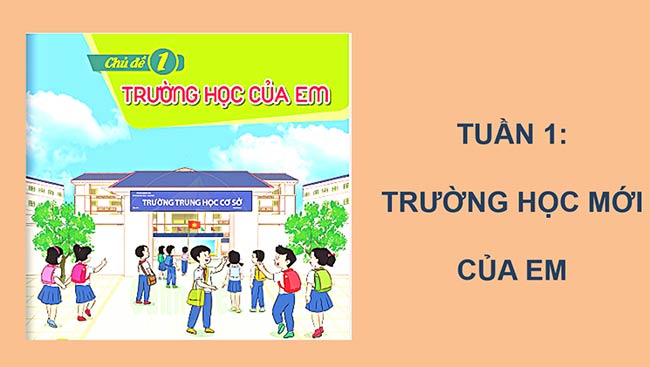 PowerPoint HĐTN 6: Trường học của em