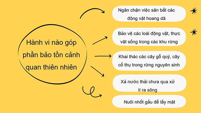 PowerPoint HĐTN 6: Ứng phó với biến đổi khí hậu