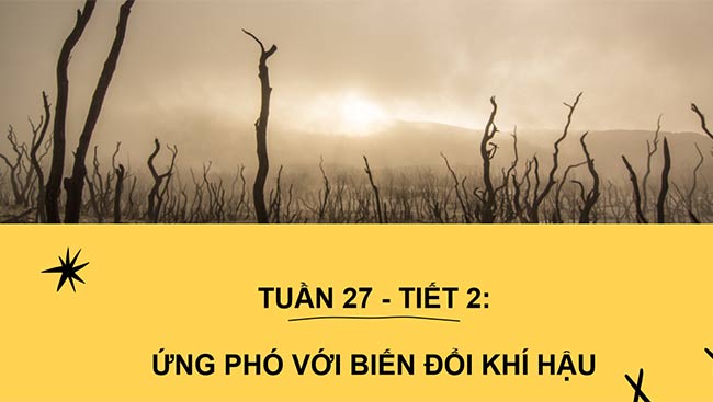 PowerPoint HĐTN 6: Ứng phó với biến đổi khí hậu