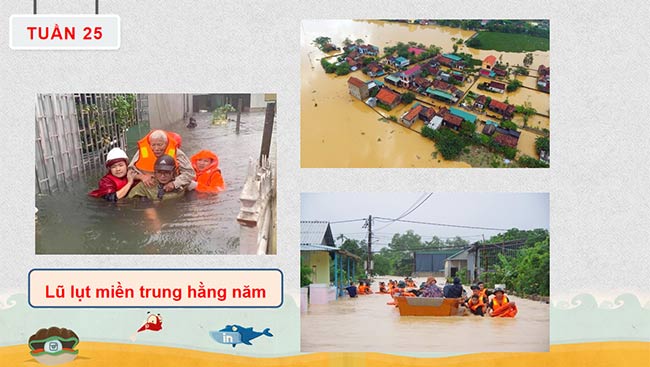 PowerPoint HĐTN 6: Thách thức của thiên nhiên