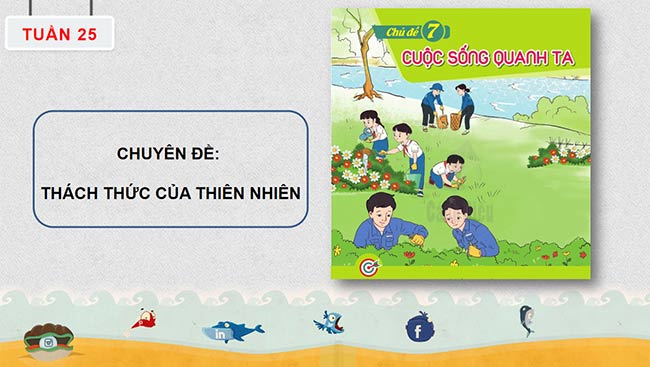 PowerPoint HĐTN 6: Thách thức của thiên nhiên