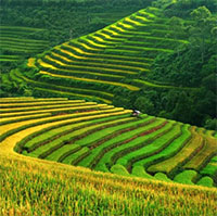 PowerPoint Ngữ văn 12 Bài 5: Phân tích bài thơ Việt Bắc