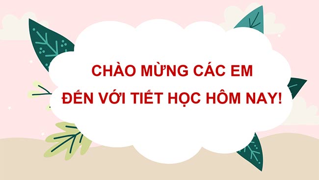 PowerPoint Hoạt động trải nghiệm 2 Tuần 17