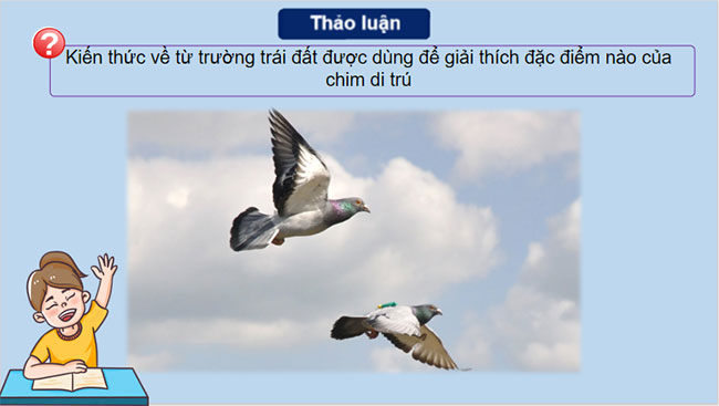 Làm quen với Vật lí