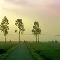 PowerPoint Ngữ văn 9 Bài 4: Ngày xưa