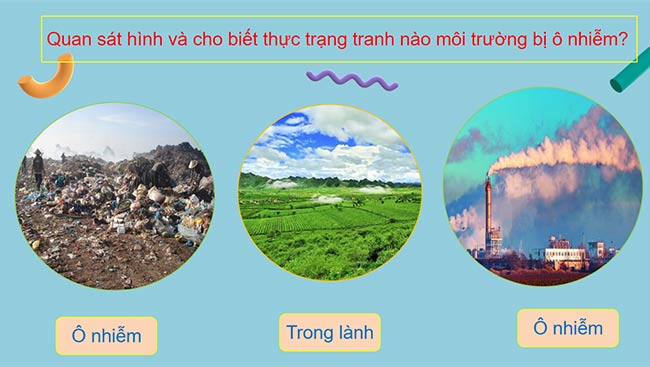 PowerPoint Hoạt động trải nghiệm 2 Tuần 29