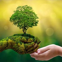 PowerPoint Hoạt động trải nghiệm 2 Tuần 29 Chủ đề 8: Môi trường xanh, cuộc sống xanh