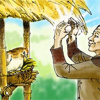 PowerPoint Tiếng Việt 5: Tiếng gà trưa