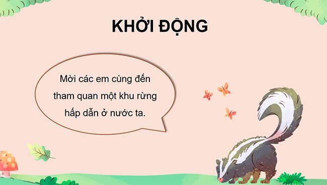 PowerPoint Viết đoạn văn cho bài văn tả phong cảnh