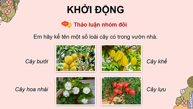 PowerPoint Đọc: Tiếng vườn