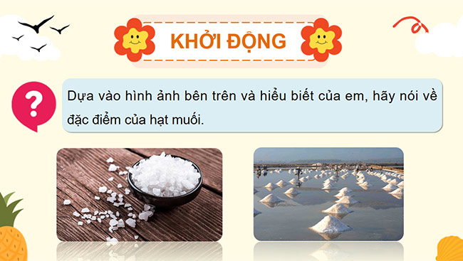 PowerPoint Đọc: Mặn mòi vị muối Bạc Liêu