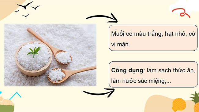 PowerPoint Đọc: Mặn mòi vị muối Bạc Liêu