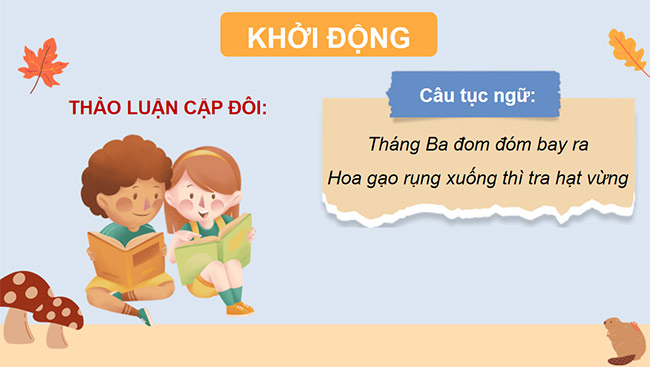 PowerPoint Đọc: Mùa vừng