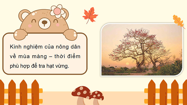 PowerPoint Đọc: Mùa vừng